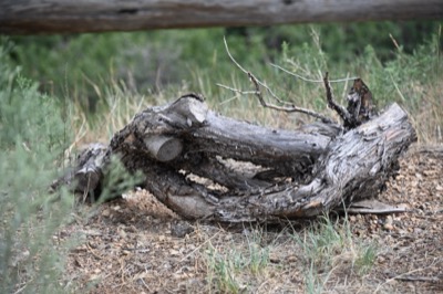 Photograph 65